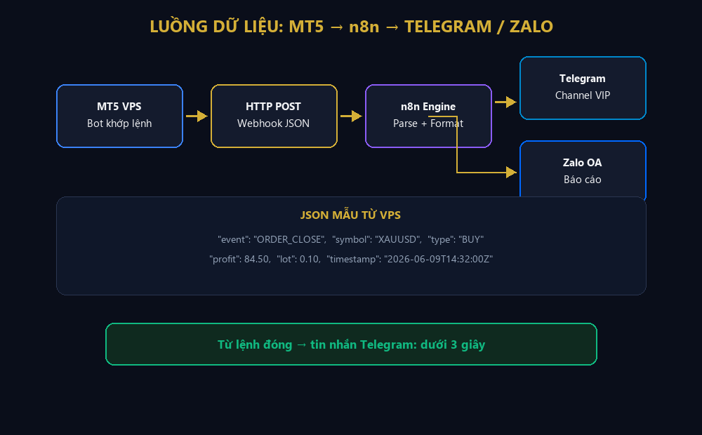 Luồng dữ liệu MT5 n8n Telegram Zalo