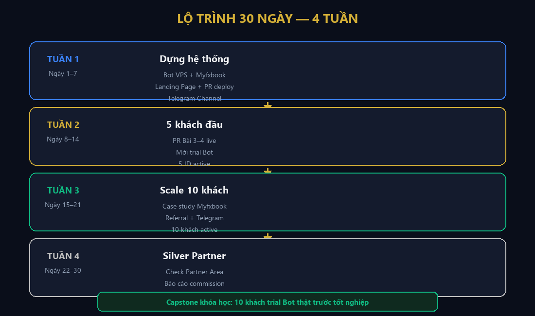 Lộ trình 30 ngày đạt Silver Exness từng tuần